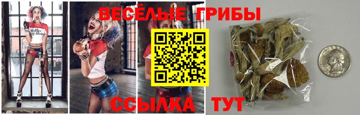 Псилоцибиновые грибы Magic Shrooms  Вход с VPN  Муром  Псилоцибиновые грибы прущие грибы 